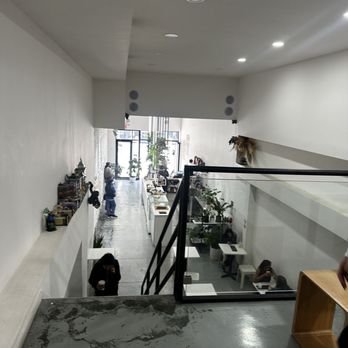 Semicolon Cafe - Coffee & Tea Near Me - New York, New York Semicolon Cafe - Coffee & Tea Near Me - New York, New York