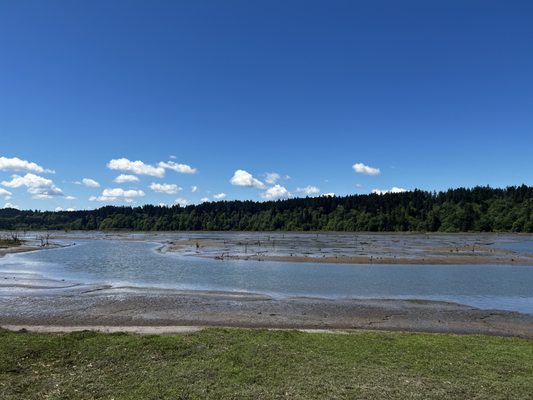 Billy Frank Jr. Nisqually National Wildlife Refuge by null