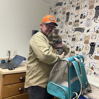 Fox River Animal Hospital - The cat examining room is extremely clean and very calm with calming music. - Veterinarians Near Me - Appleton, Wisconsin Fox River Animal Hospital - The cat examining room is extremely clean and very calm with calming music. - Veterinarians Near Me - Appleton, Wisconsin