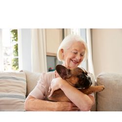 Easy Care Now - Need a pet companion or a house sitter? Easy Care is on call.