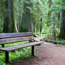 Ross Creek Cedars - Park benches invite visitors to linger.