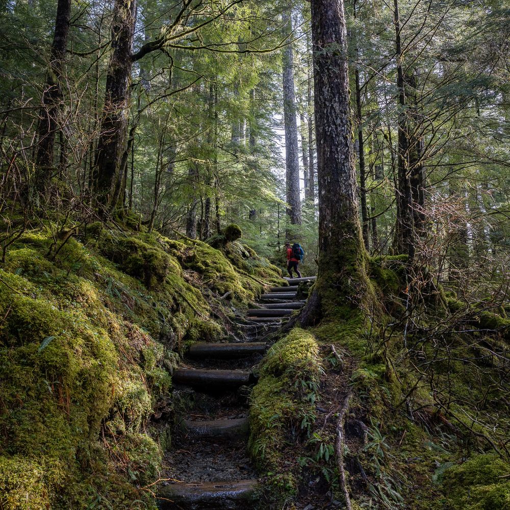 Deer Mountain Trail - early in the hike - Hiking Near Me - Ketchikan, Alaska Deer Mountain Trail - early in the hike - Hiking Near Me - Ketchikan, Alaska
