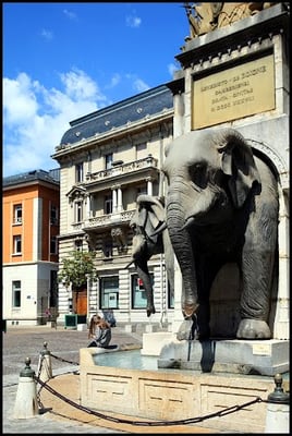La Fontaine des Éléphants by null