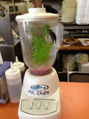 Susan's Fish-n-Chips by null