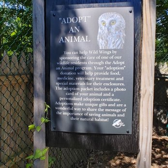 Wild Wings - Zoos Near Me - Honeoye Falls, New York