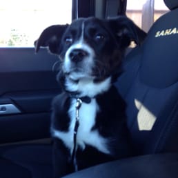 Jesse driving in the jeep