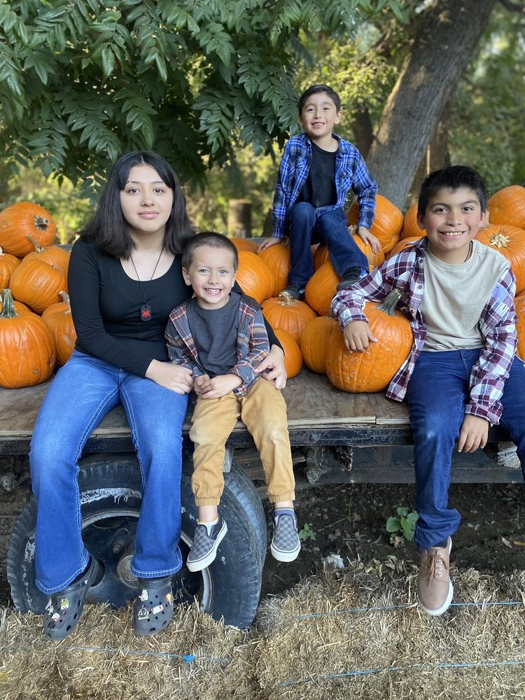 HILLCREST CHRISTMAS TREE & PUMPKIN FARM 77 Photos & 51 Reviews 6943