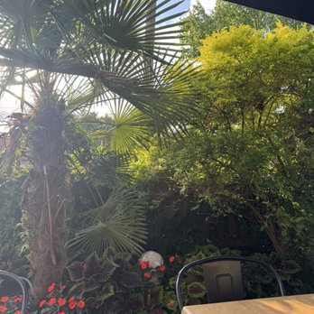 En Su Boca - Mexican Near Me - Richmond, Virginia
