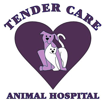 Tender Care Animal Hospital - pet boarding facility in Gretna, NE