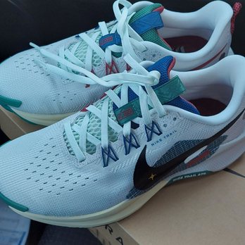 nike air zoom pegasus 35 dicks