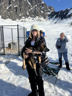 Alaska Helicopter Tours by null