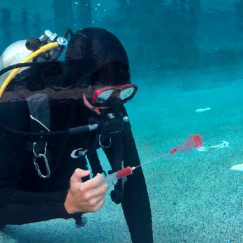Deep Dive Leak Detection - Pool & Hot Tub Service Near Me