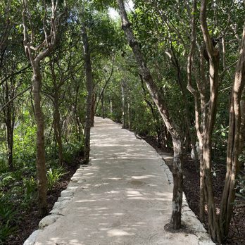 Xel-Há - Bike path. Very relaxing - Amusement Parks Near Me - Tulum, ROO Xel-Há - Bike path. Very relaxing - Amusement Parks Near Me - Tulum, ROO