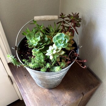 Restore & Rework - My bucket o' succulents - Home Decor Near Me - Castro Valley, California Restore & Rework - My bucket o' succulents - Home Decor Near Me - Castro Valley, California