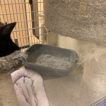 PetSmart - Pet Stores Near Me - Canoga Park, California