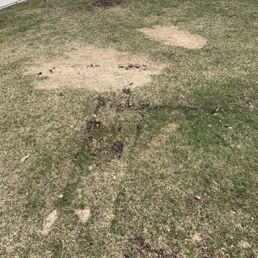 Yard damage. Yard damage.