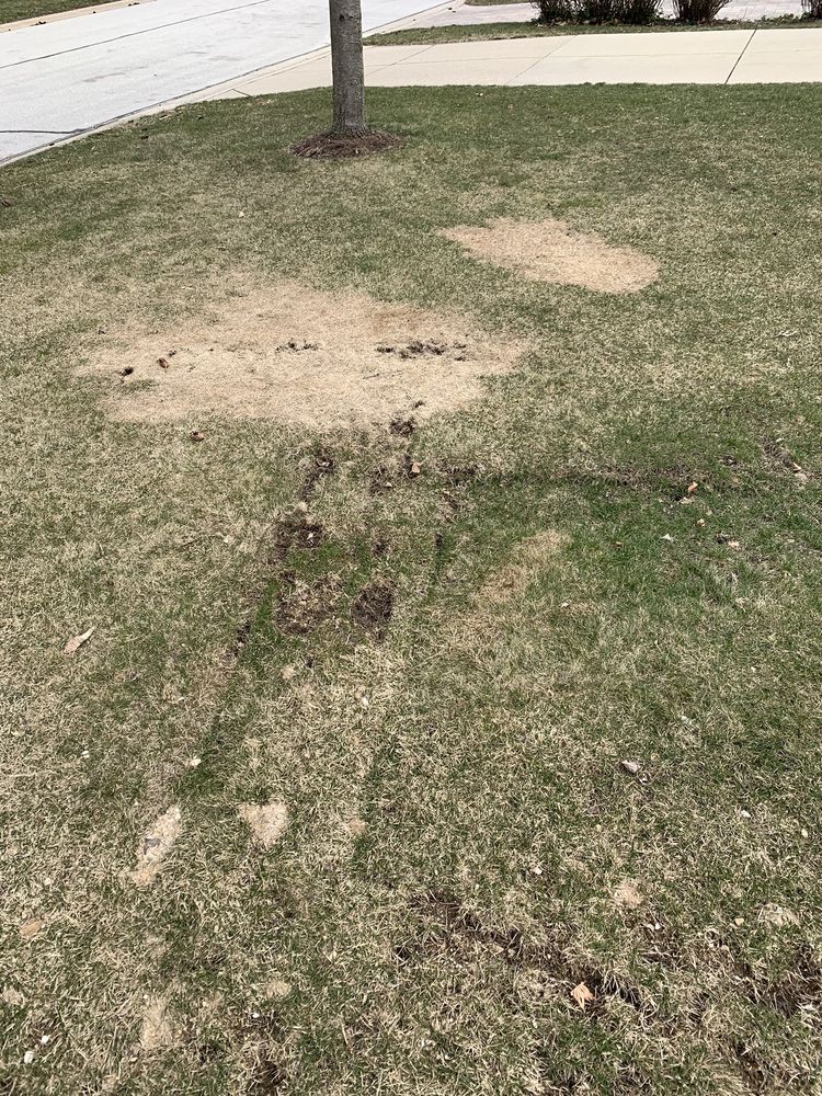 Slide of Intelligent Service: Plumbing, Heating, Cooling & Drain Cleaning