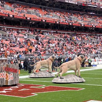 Cleveland Browns - Stadiums & Arenas Near Me - Cleveland, Ohio Cleveland Browns - Stadiums & Arenas Near Me - Cleveland, Ohio