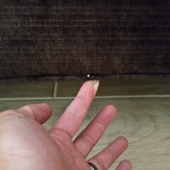 Living Spaces - Staple sticking out of sofa. - Furniture Stores Near Me - Menifee, California Living Spaces - Staple sticking out of sofa. - Furniture Stores Near Me - Menifee, California