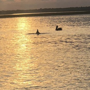 Tideline Tours - Rafting/Kayaking Near Me - Folly Beach, South Carolina Tideline Tours - Rafting/Kayaking Near Me - Folly Beach, South Carolina