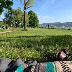Skidmore Bluffs