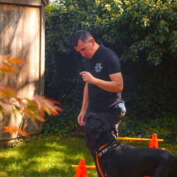 Wag Mates Academy - Pet Training Near Me Wag Mates Academy - Pet Training Near Me