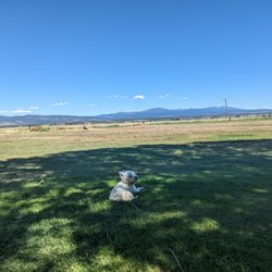 Rim Rock Motel - Lots of shade and very dog friendly!