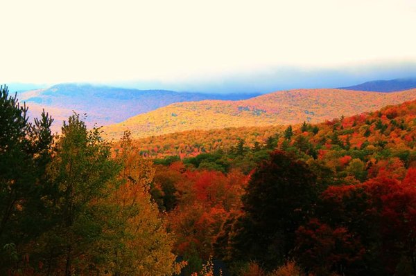 Cannon Mountain Ski Resort by null
