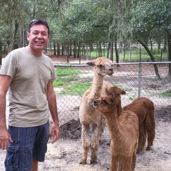Funny Farm Alpacas - Shopping Near Me - Lecanto, Florida