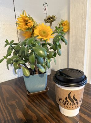 Esteamed Coffee by null