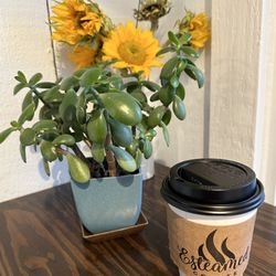 Esteamed Coffee - My delicious latte.
