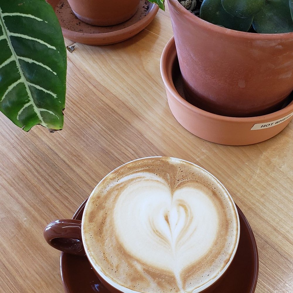 Picacho Coffee Roasters - Mocha - Coffee Roasteries Near Me - Las Cruces, New Mexico Picacho Coffee Roasters - Mocha - Coffee Roasteries Near Me - Las Cruces, New Mexico
