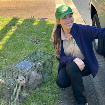 Apex Wildlife Control - Pest Control Near Me - Bartlett, Tennessee