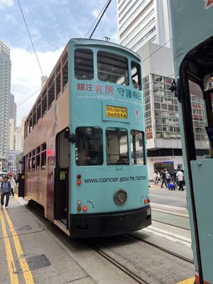 This Is Asia Tours by null