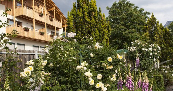 Hotel Heubad by null