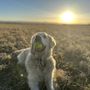Photo of PetVet365 Highlands Ranch