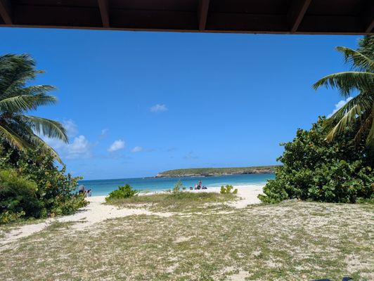 Caracas Beach by null