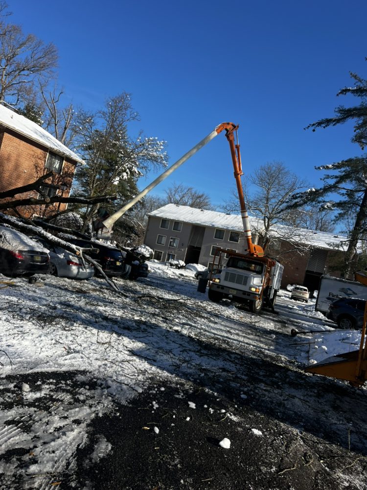 Green View Tree Service - tree service in Maple Shade, NJ