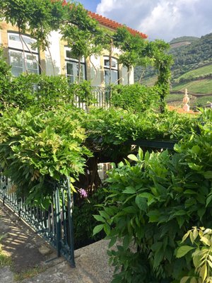 The Vintage House Hotel, Douro by null