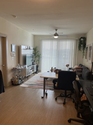 Standard Cleaning pro 