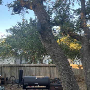 Pops Tree - Landscaping Near Me Pops Tree - Landscaping Near Me