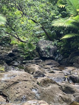 Waimano Falls by null