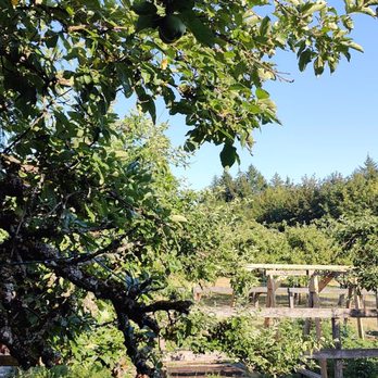 Merridale Cidery & Distillery - Distilleries Near Me - Cobble Hill, British Columbia Merridale Cidery & Distillery - Distilleries Near Me - Cobble Hill, British Columbia