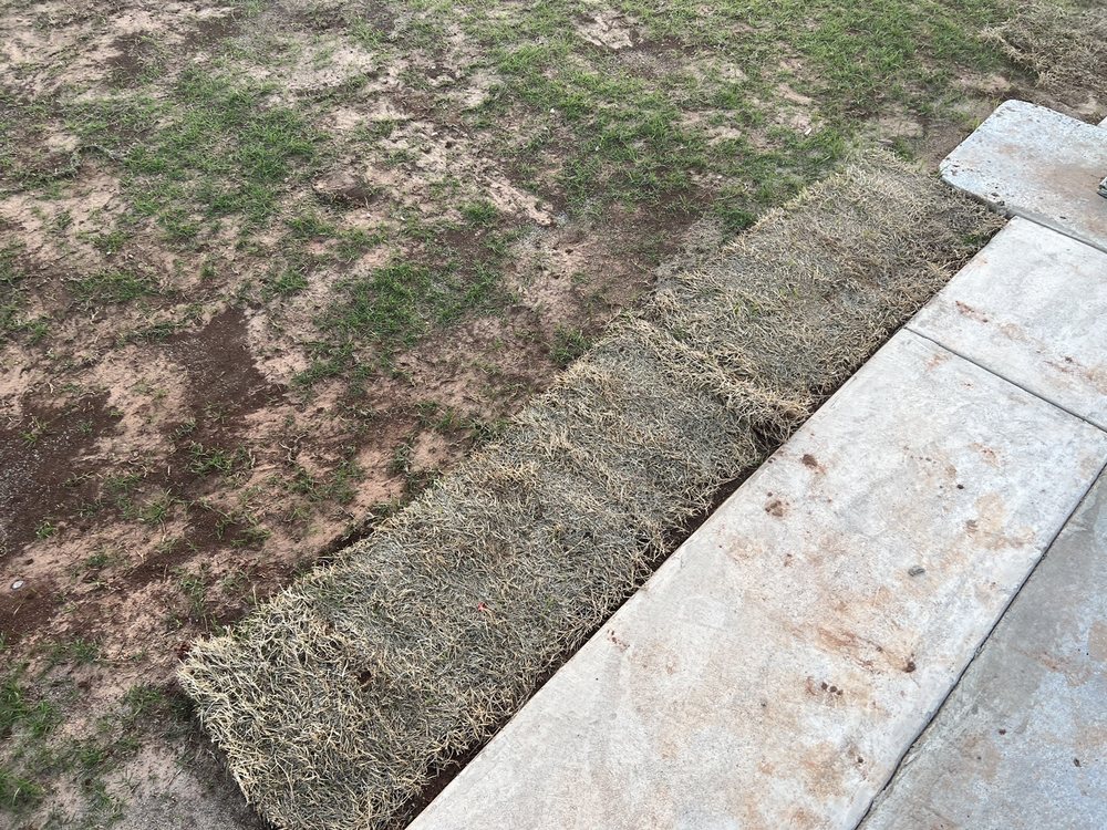 EASTON SOD FARMS Updated May 2024 101 S ster Ave, Norman