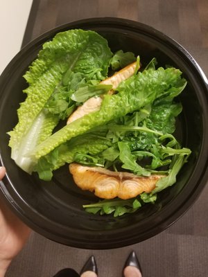 Guppy's Good Times by null