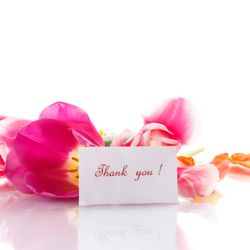 Alex Messina, MD - A THANK YOU NOTE!