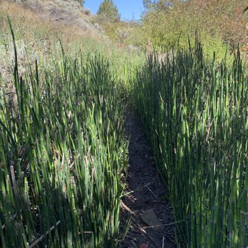 Alder Springs Trail - Hiking Near Me - Sisters, Oregon Alder Springs Trail - Hiking Near Me - Sisters, Oregon