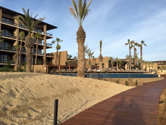 JW Marriott Los Cabos Beach Resort & Spa by null
