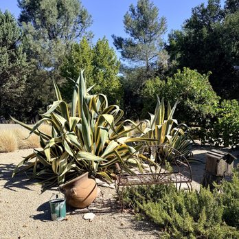 Farm Blanc Et Rouge - Vacation Rentals Near Me - Paso Robles, California Farm Blanc Et Rouge - Vacation Rentals Near Me - Paso Robles, California