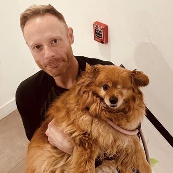 Doggie Style Pets - Before pic - never been groomed! - Pet Stores Near Me - Philadelphia, Pennsylvania